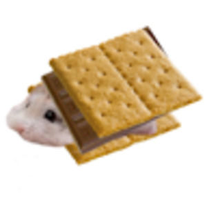 Meet your Posher, Human